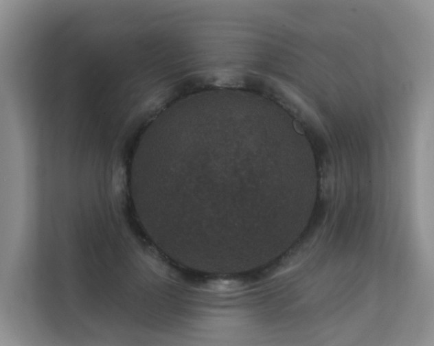 X0000111640748200907241110