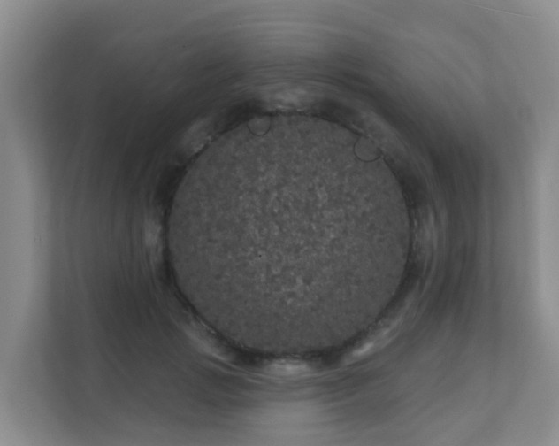 X0000111640749200907241110