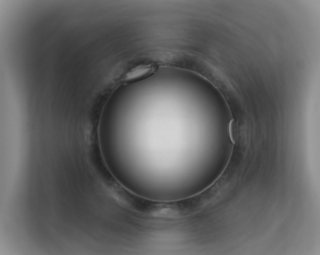 X0000111640750200907241110