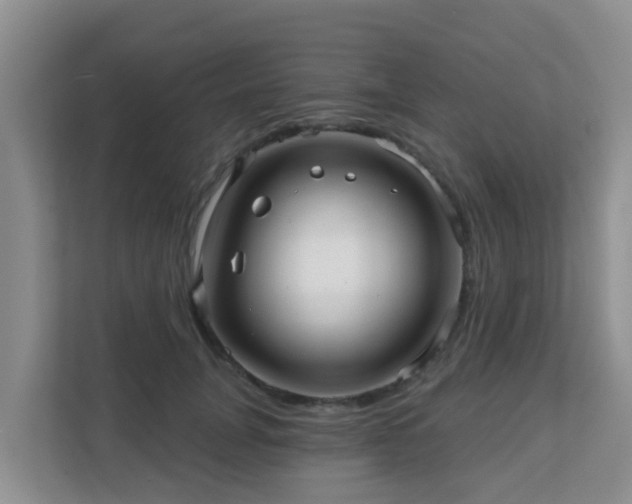 X0000111640751200907241110