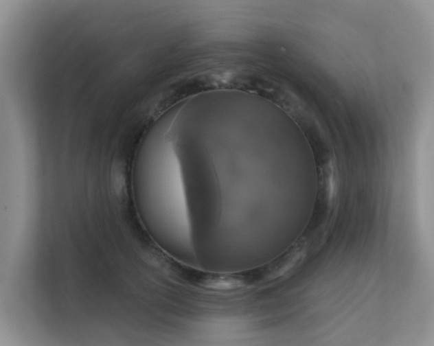 X0000111640754200907241110