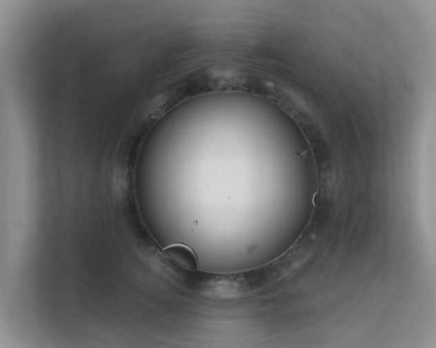 X0000111640756200907241111