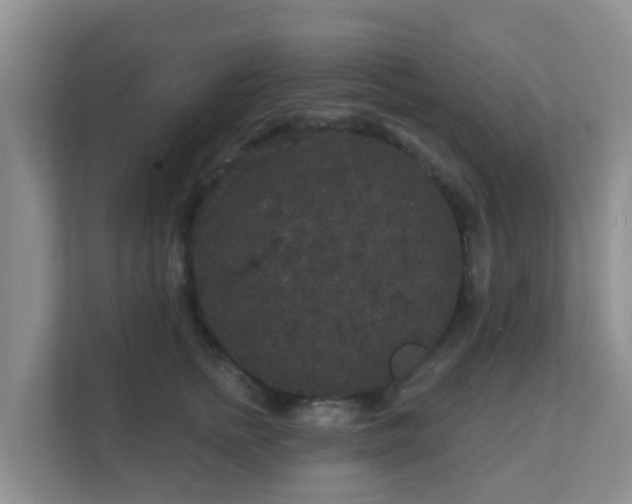 X0000111640758200907241111