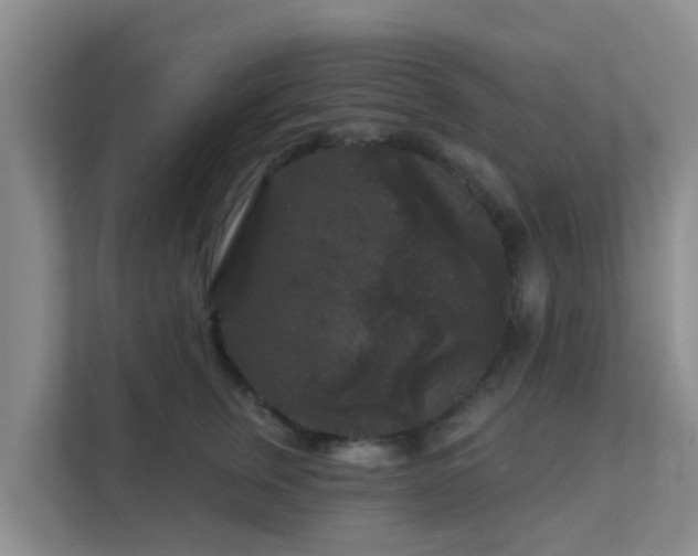 X0000111640759200907241111