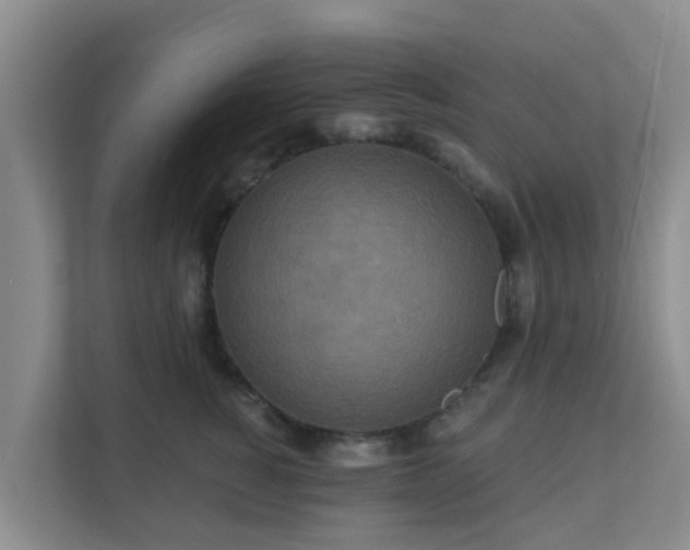 X0000111640760200907241111