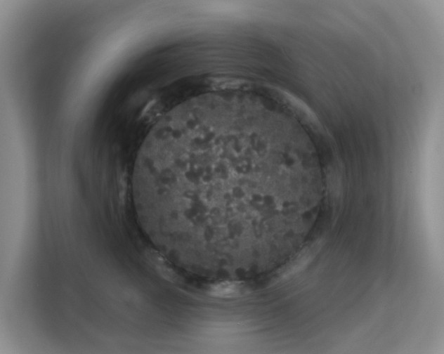 X0000111640761200907241111