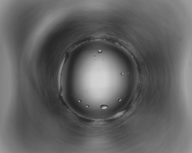 X0000111640762200907241111