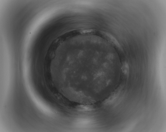 X0000111640763200907241111