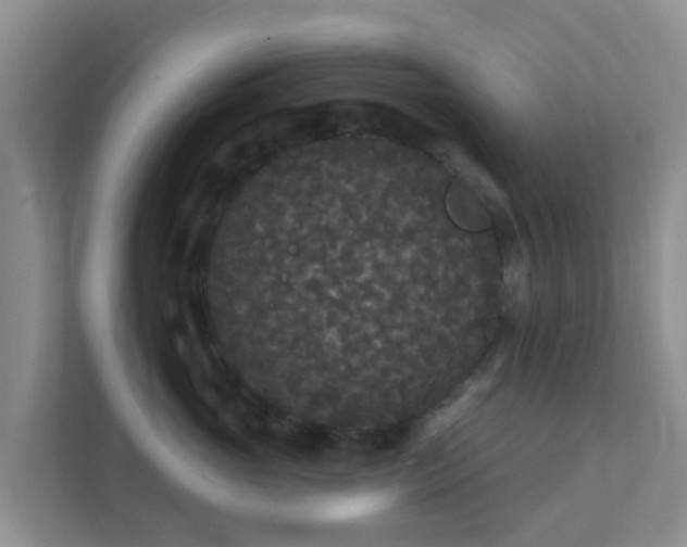 X0000111640765200907241111