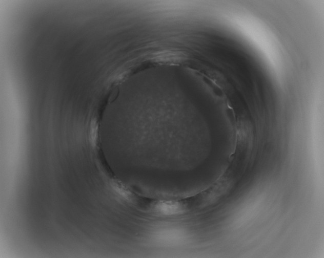 X0000111640767200907241111