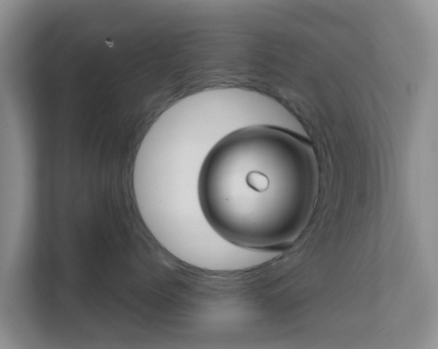 X0000111640768200907241111