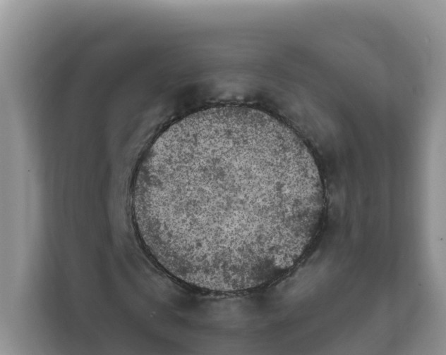 X0000111640769200907241110