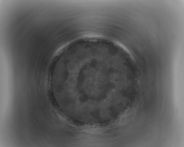 X0000111640775200907241110