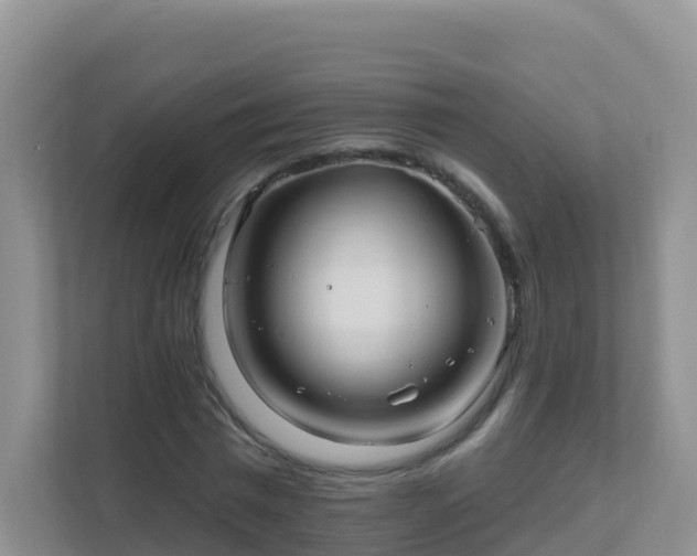 X0000111640777200907241110