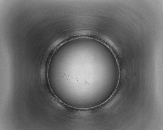 X0000111640778200907241110