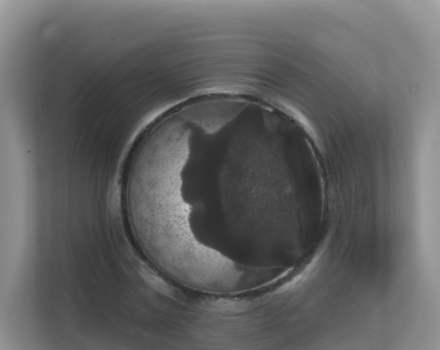 X0000111640779200907241110