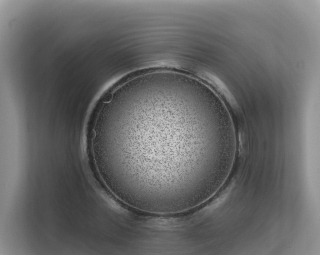 X0000111640780200907241110