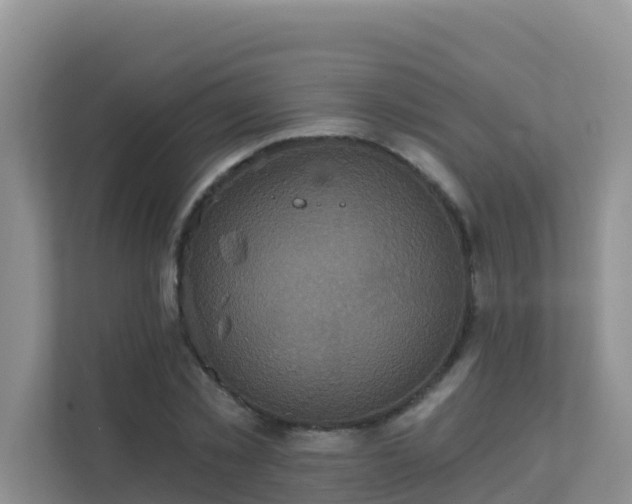 X0000111640781200907241110