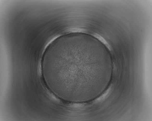 X0000111640782200907241110