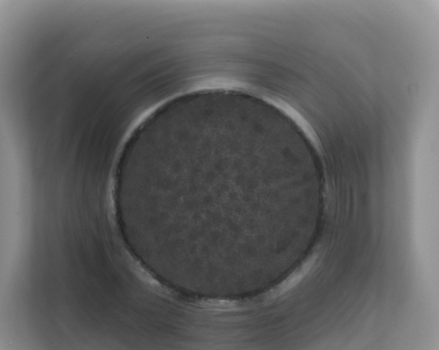 X0000111640783200907241110