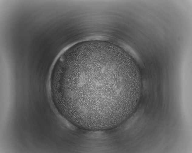 X0000111640784200907241110