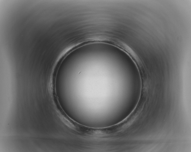 X0000111640787200907241110