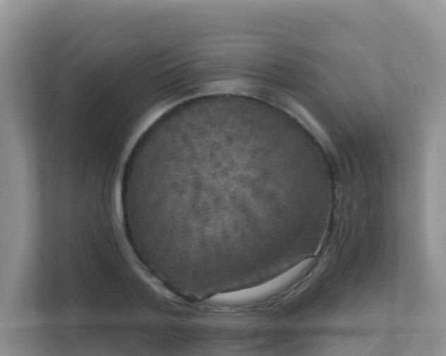 X0000111640788200907241110