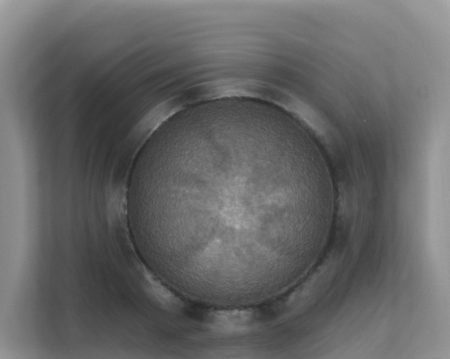 X0000111640793200907241110