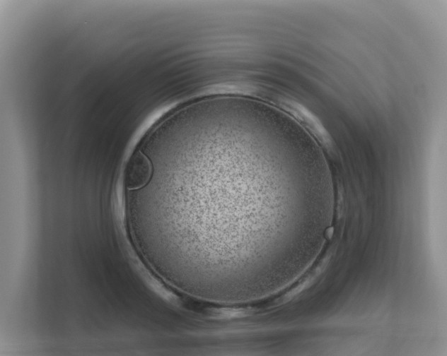 X0000111640796200907241110