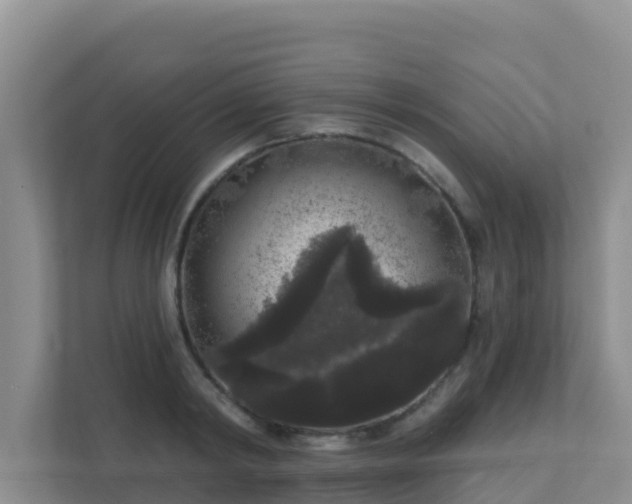 X0000111640798200907241110