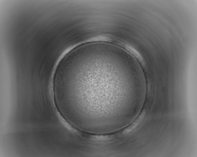 X0000111640800200907241110