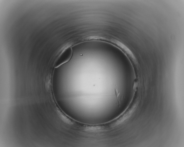 X0000111640801200907241110