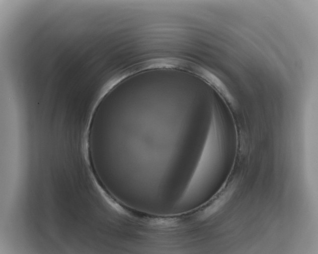 X0000111640802200907241110