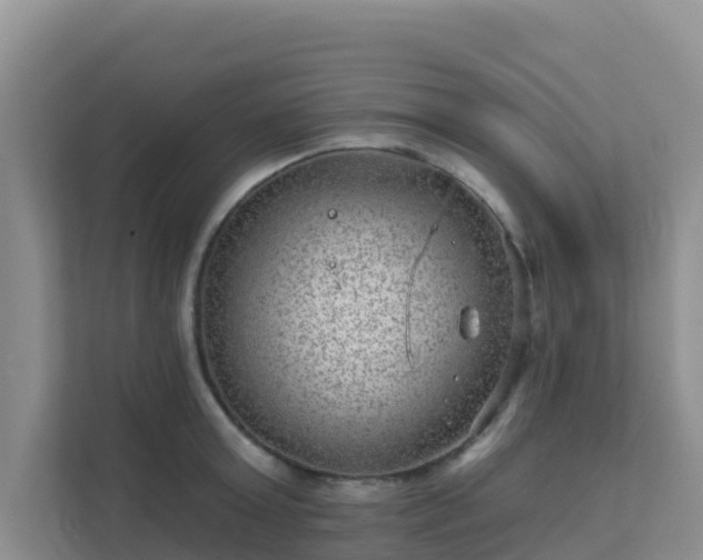 X0000111640803200907241110