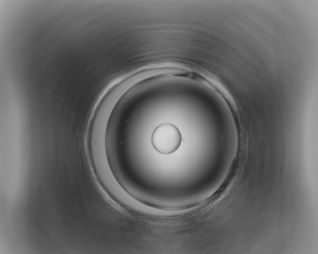 X0000111640805200907241110