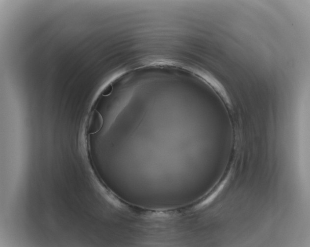 X0000111640806200907241110