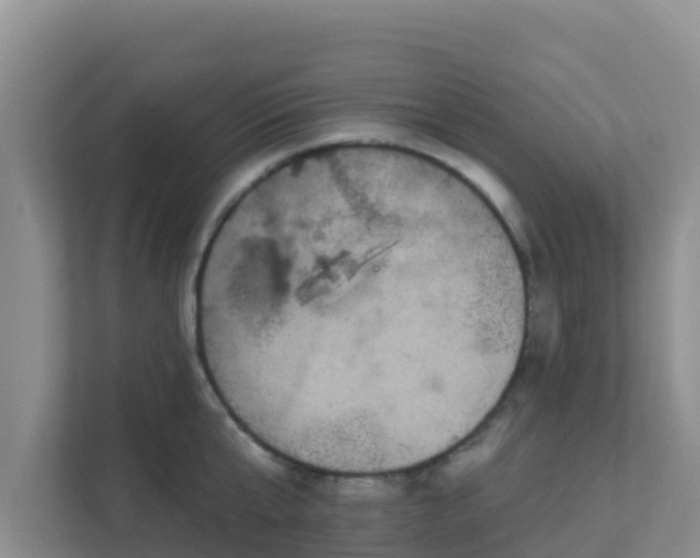 X0000111640807200907241110