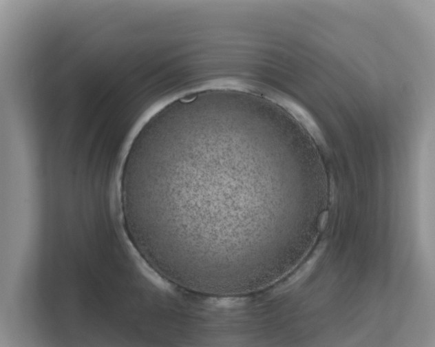 X0000111640808200907241110