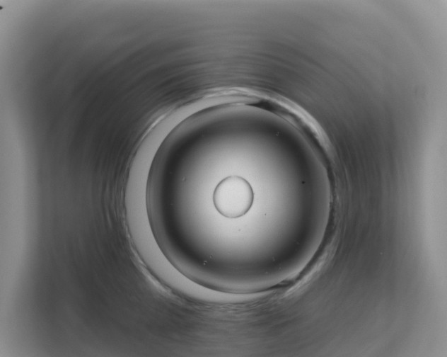 X0000111640809200907241110