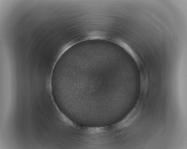 X0000111640810200907241110