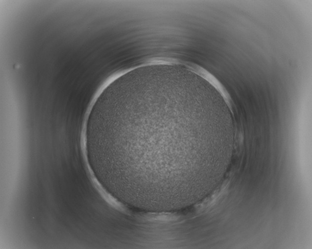 X0000111640811200907241109