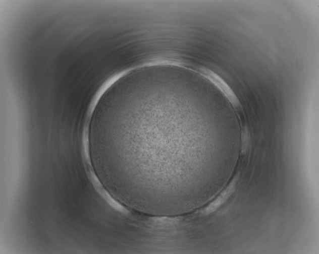 X0000111640812200907241109