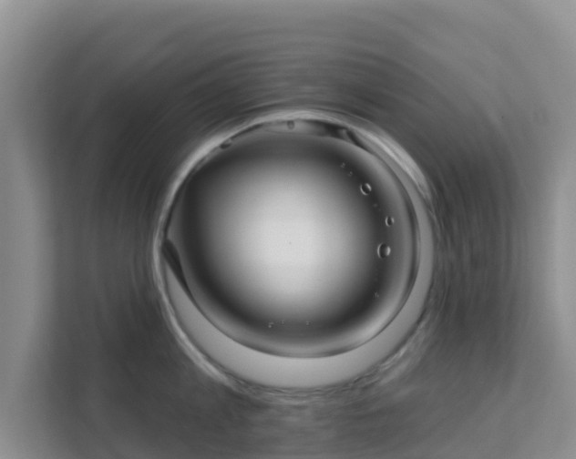 X0000111640813200907241109