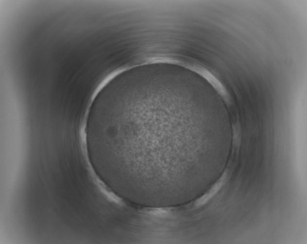 X0000111640814200907241109