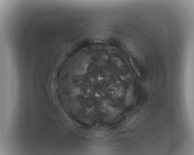 X0000111640817200907241109