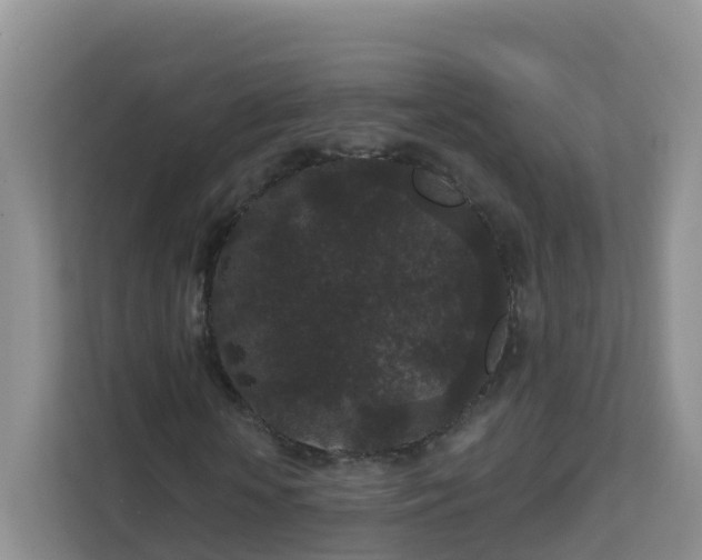 X0000111640818200907241109