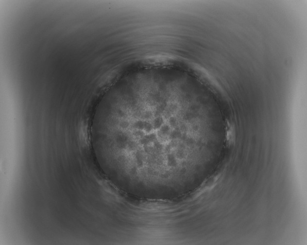 X0000111640819200907241109