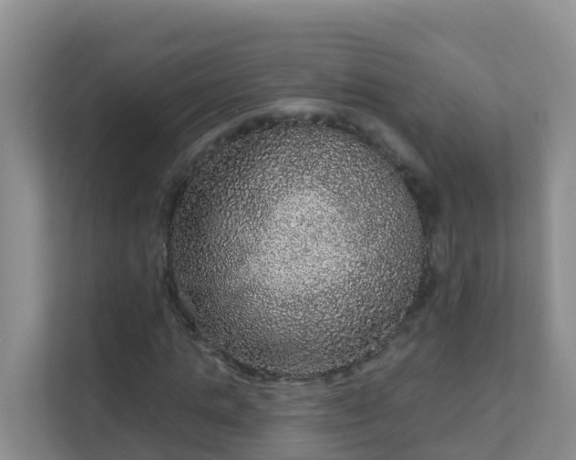 X0000111640821200907241109