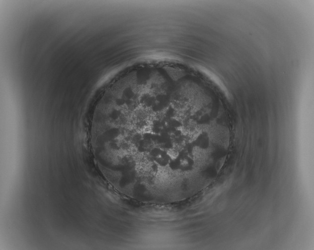 X0000111640823200907241109