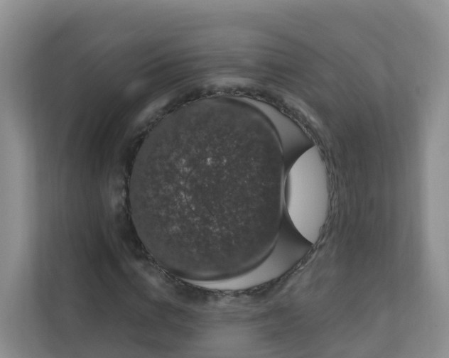 X0000111640824200907241109